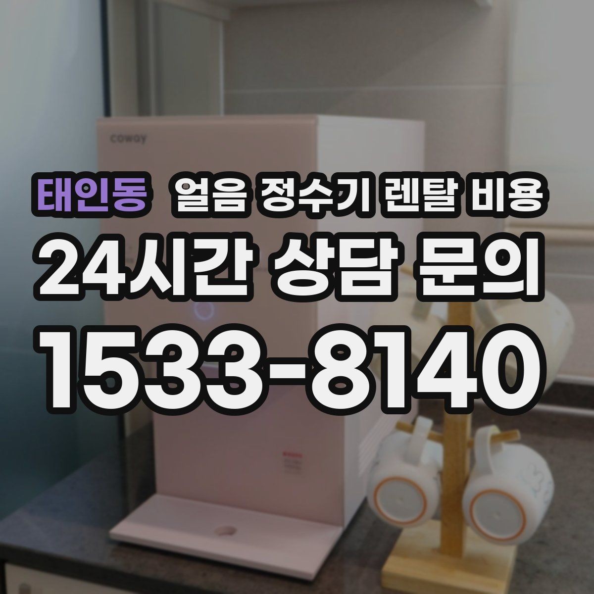 태인동 얼음 정수기 렌탈 비용 관리 서비스 범위 비교 포인트