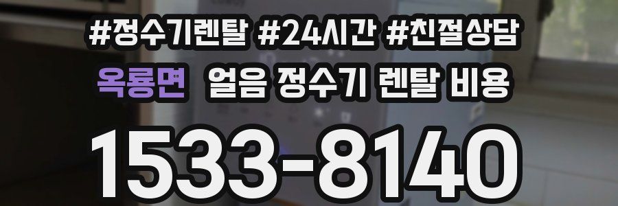 옥룡면 얼음 정수기 렌탈 비용