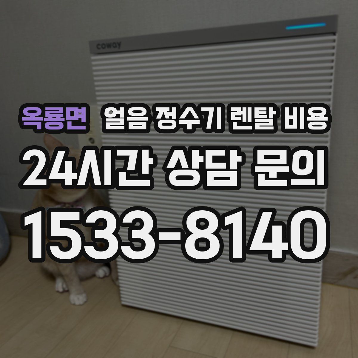 옥룡면 얼음 정수기 렌탈 비용