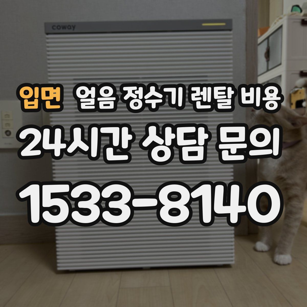 입면 얼음 정수기 렌탈 비용