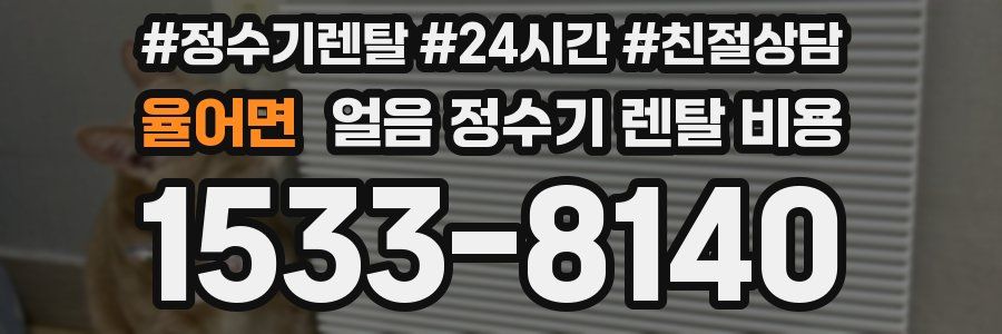 율어면 얼음 정수기 렌탈 비용