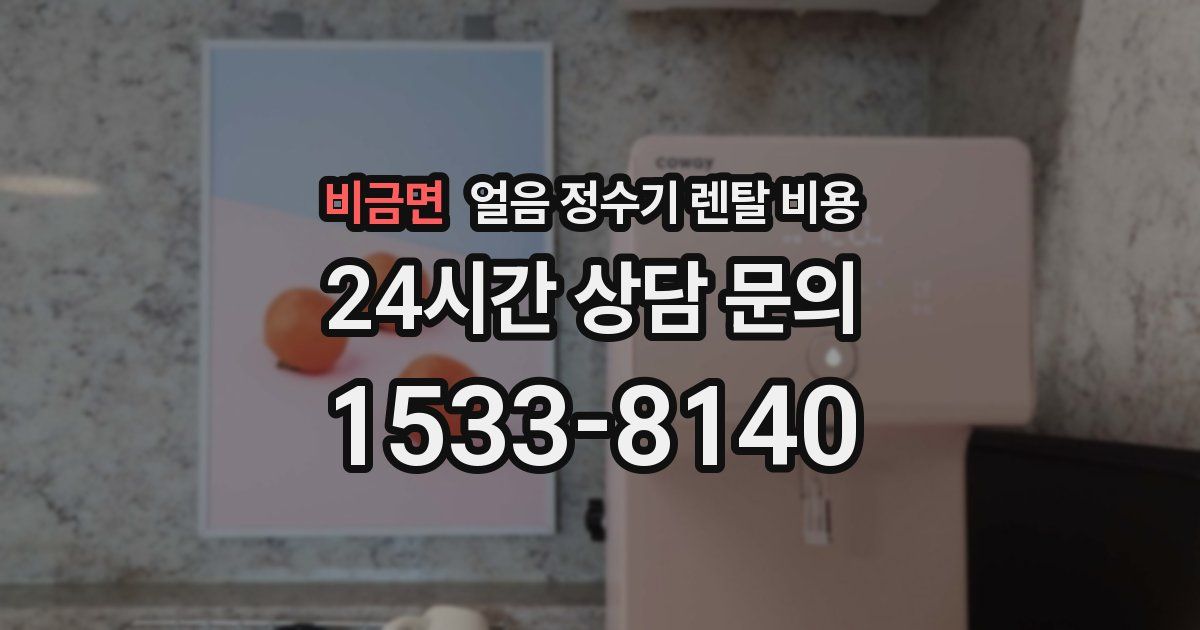 비금면 얼음 정수기 렌탈 비용