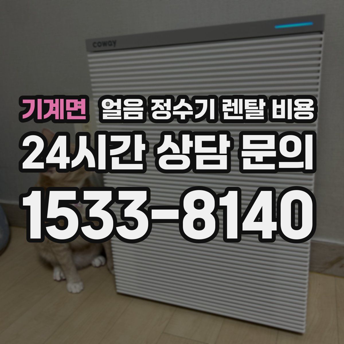 기계면 얼음 정수기 렌탈 비용