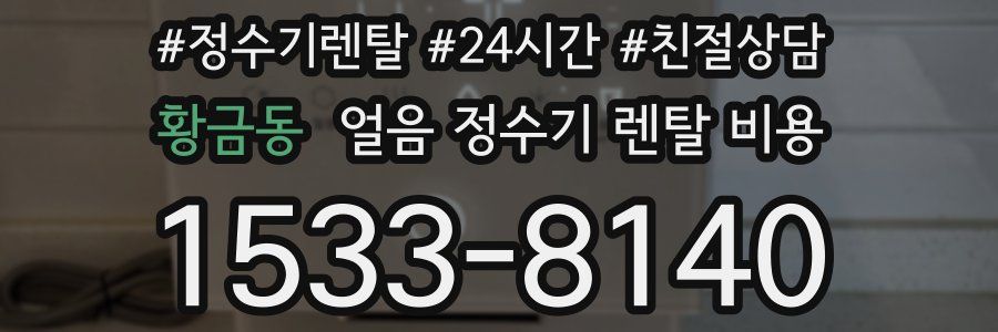 황금동 얼음 정수기 렌탈 비용