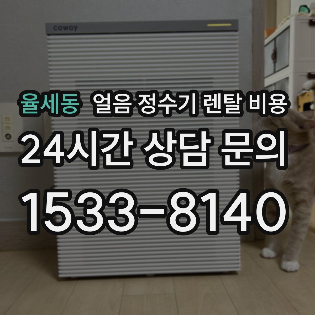율세동 얼음 정수기 렌탈 비용