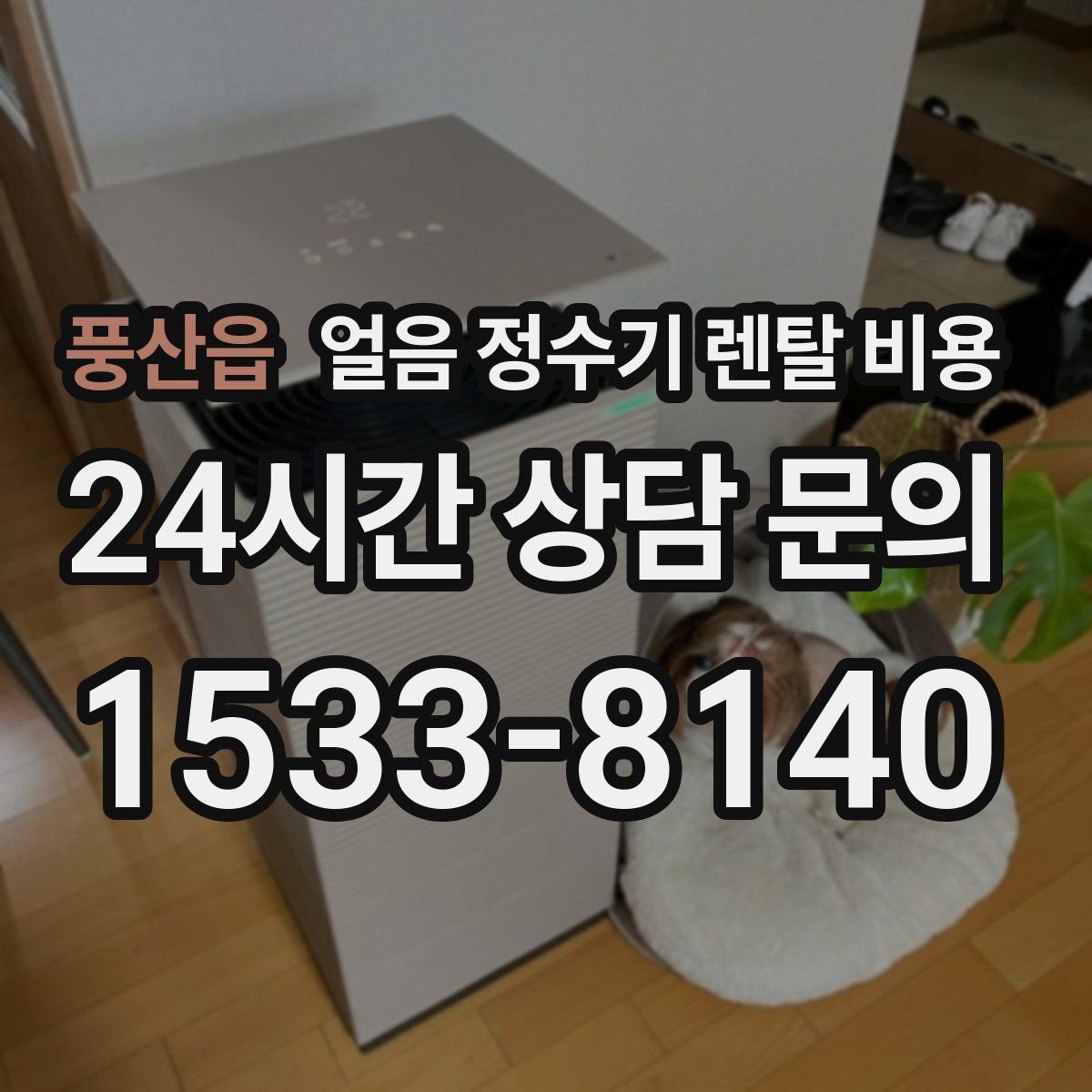 풍산읍 얼음 정수기 렌탈 비용