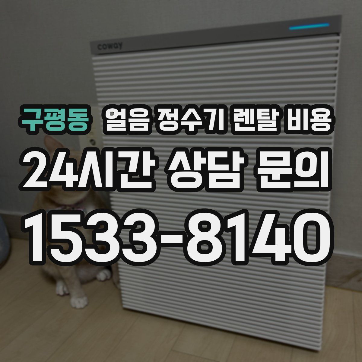 구평동 얼음 정수기 렌탈 비용