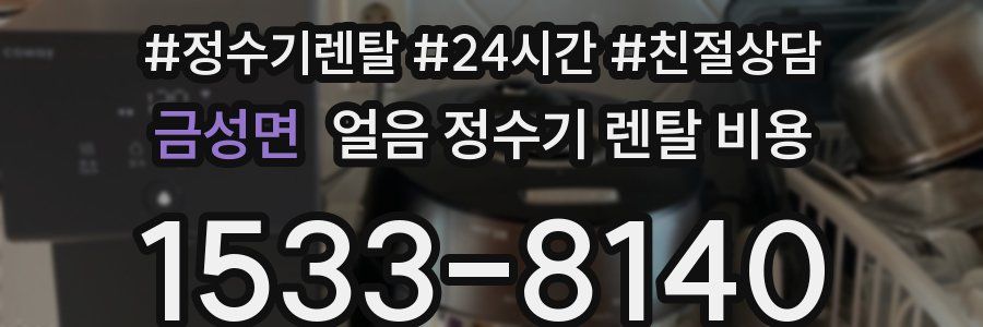 금성면 얼음 정수기 렌탈 비용