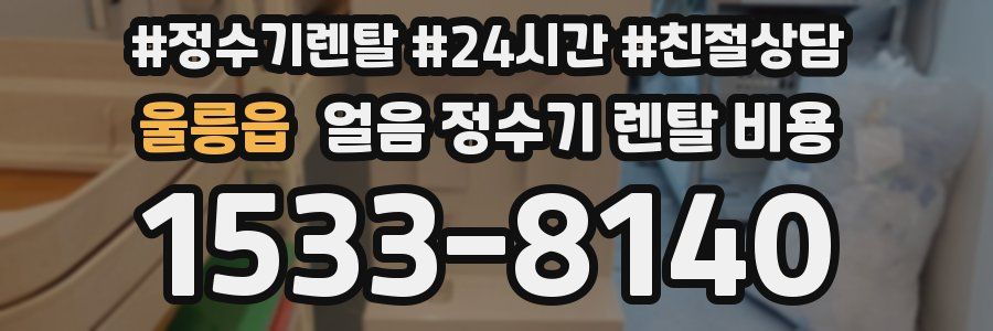 울릉읍 얼음 정수기 렌탈 비용