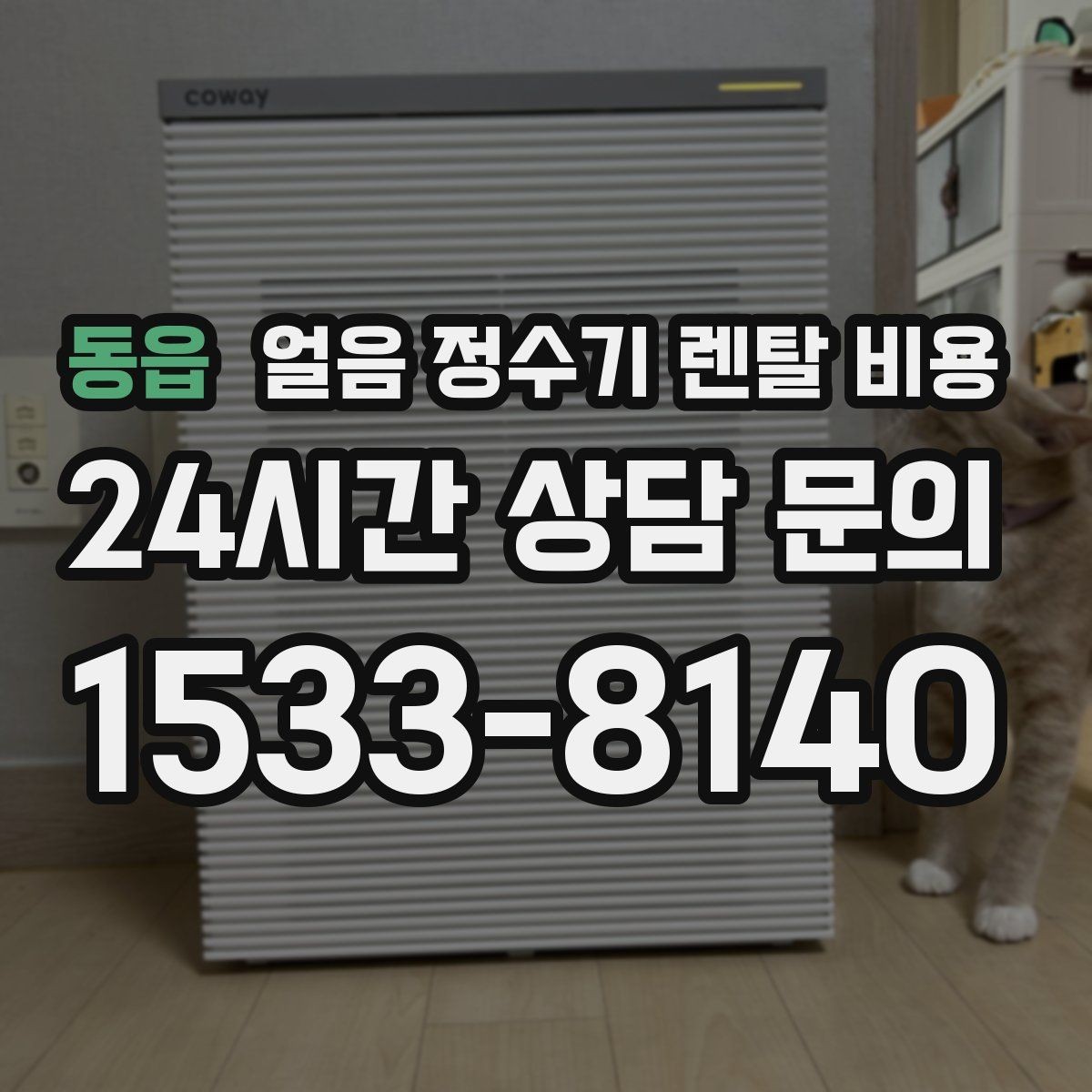 동읍 얼음 정수기 렌탈 비용 싱크대형과 스탠드형 비교