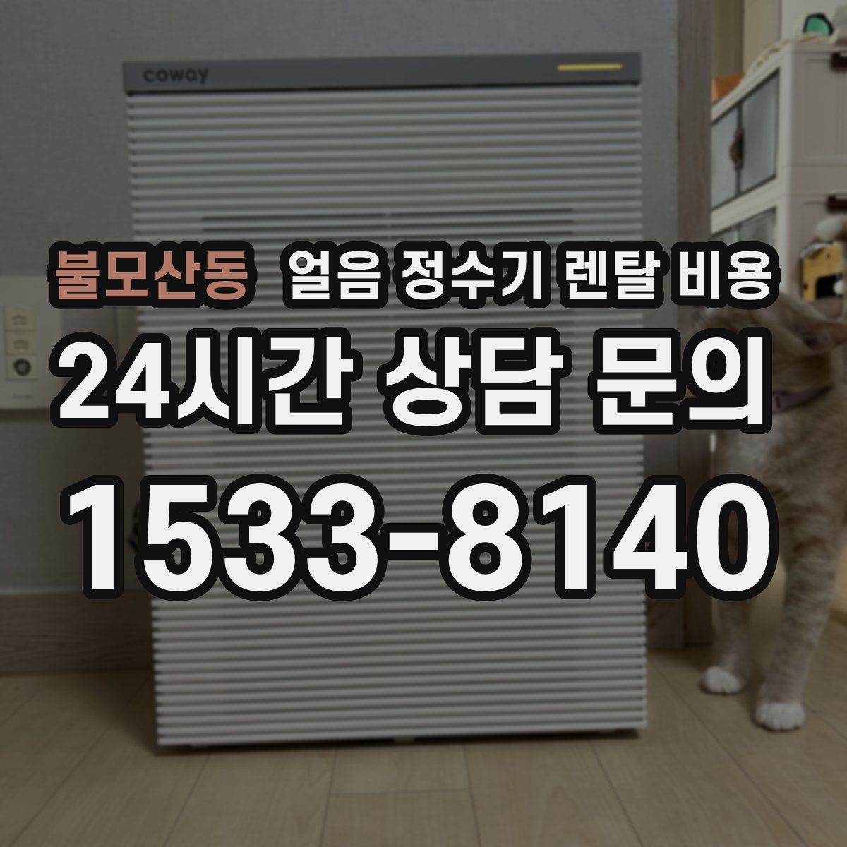 불모산동 얼음 정수기 렌탈 비용