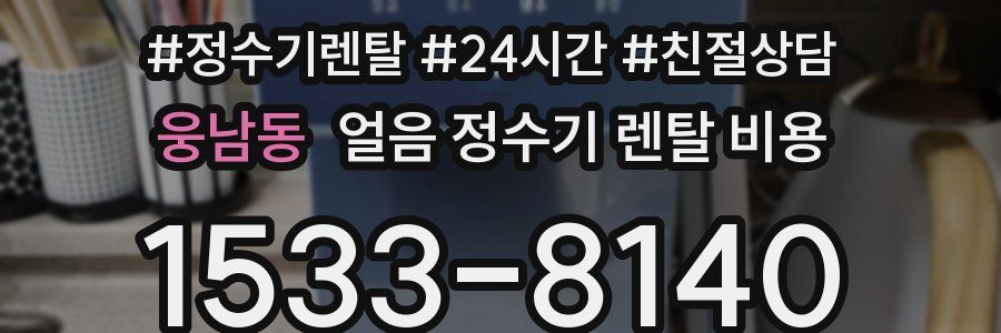 웅남동 얼음 정수기 렌탈 비용