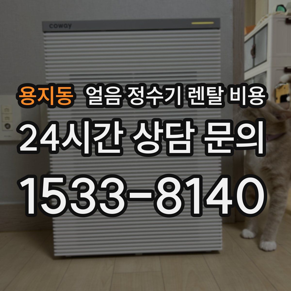 용지동 얼음 정수기 렌탈 비용