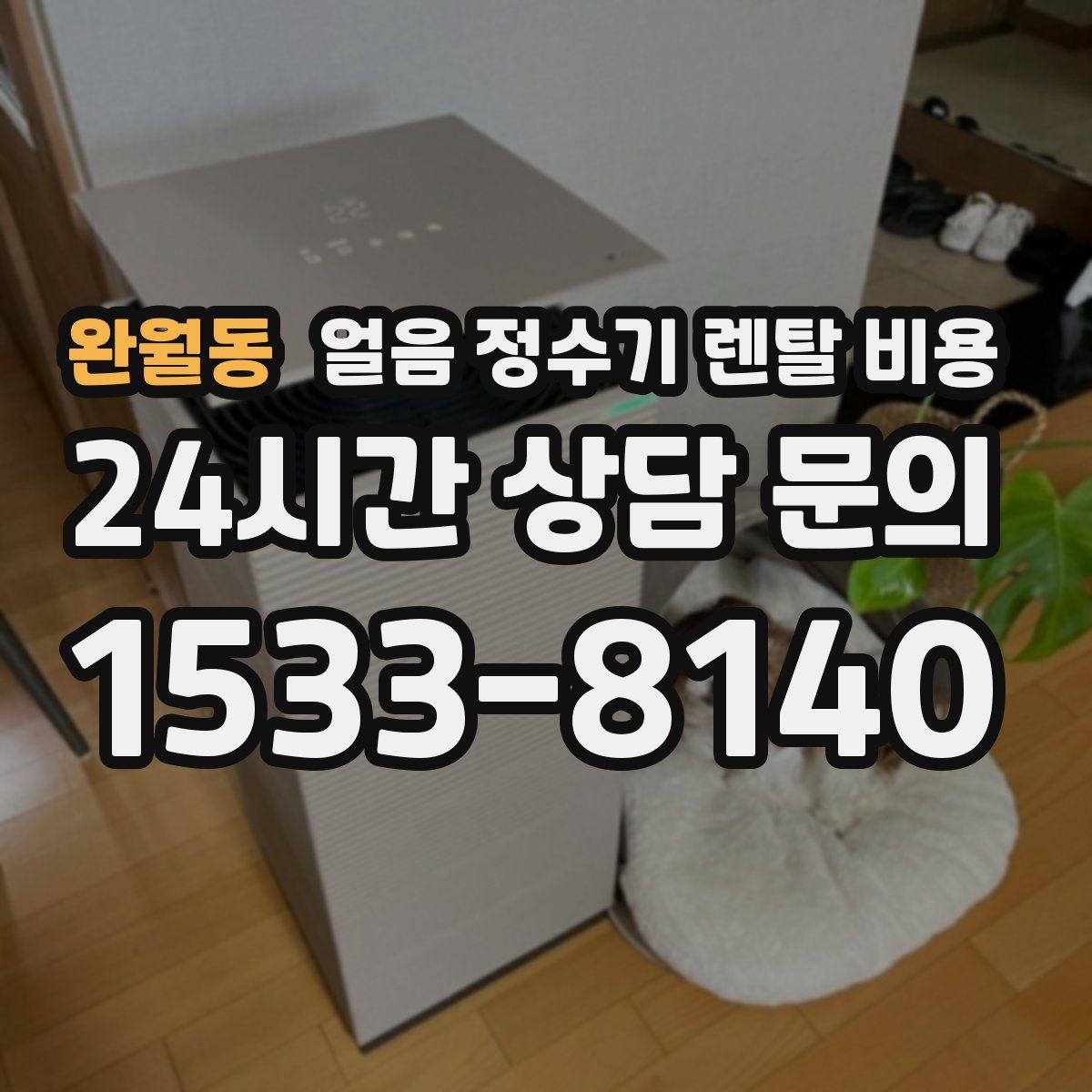 완월동 얼음 정수기 렌탈 비용