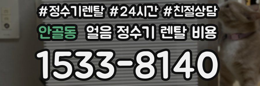 안골동 얼음 정수기 렌탈 비용