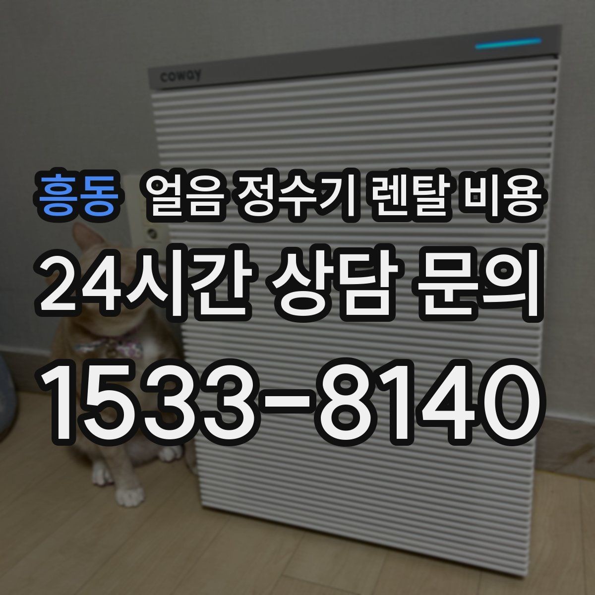 흥동 얼음 정수기 렌탈 비용 지금 선택할 때 중요한 포인트 정리