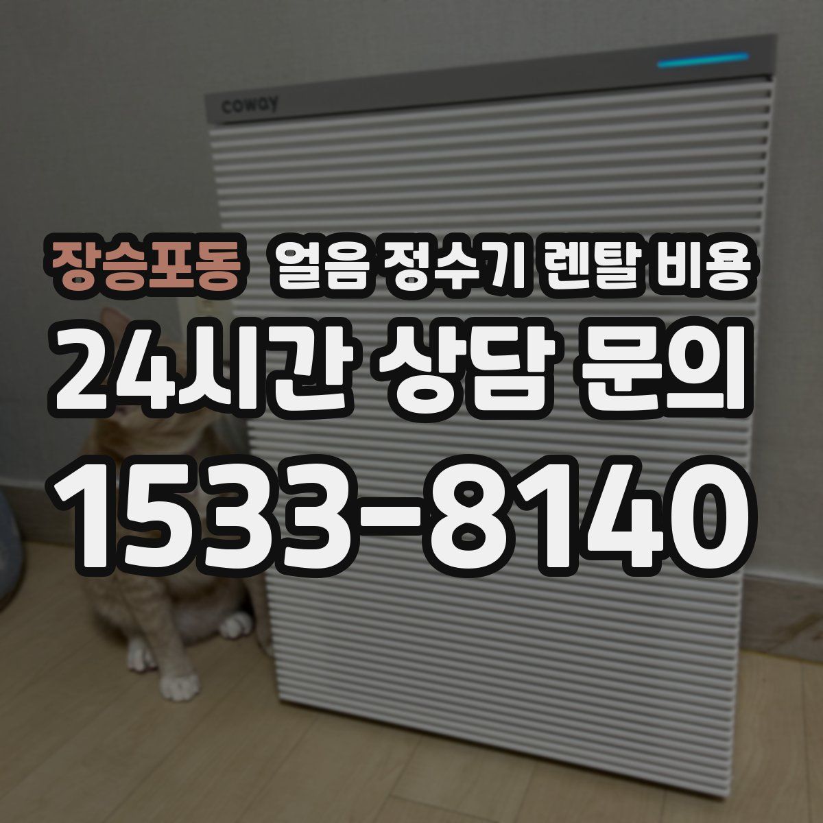 장승포동 얼음 정수기 렌탈 비용