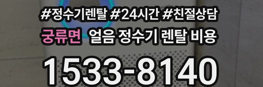 궁류면 얼음 정수기 렌탈 비용