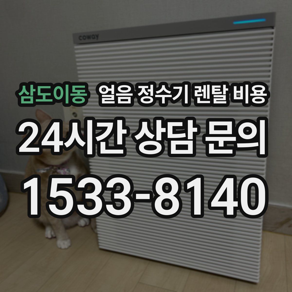 삼도이동 얼음 정수기 렌탈 비용