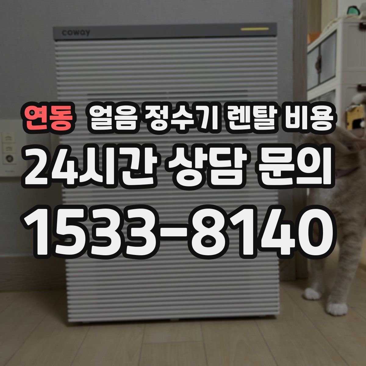 연동 얼음 정수기 렌탈 비용