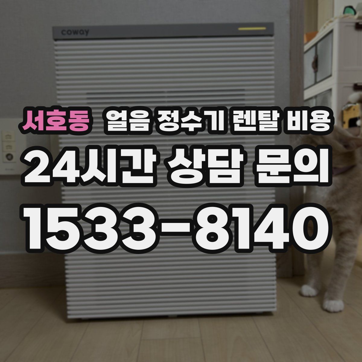 서호동 얼음 정수기 렌탈 비용