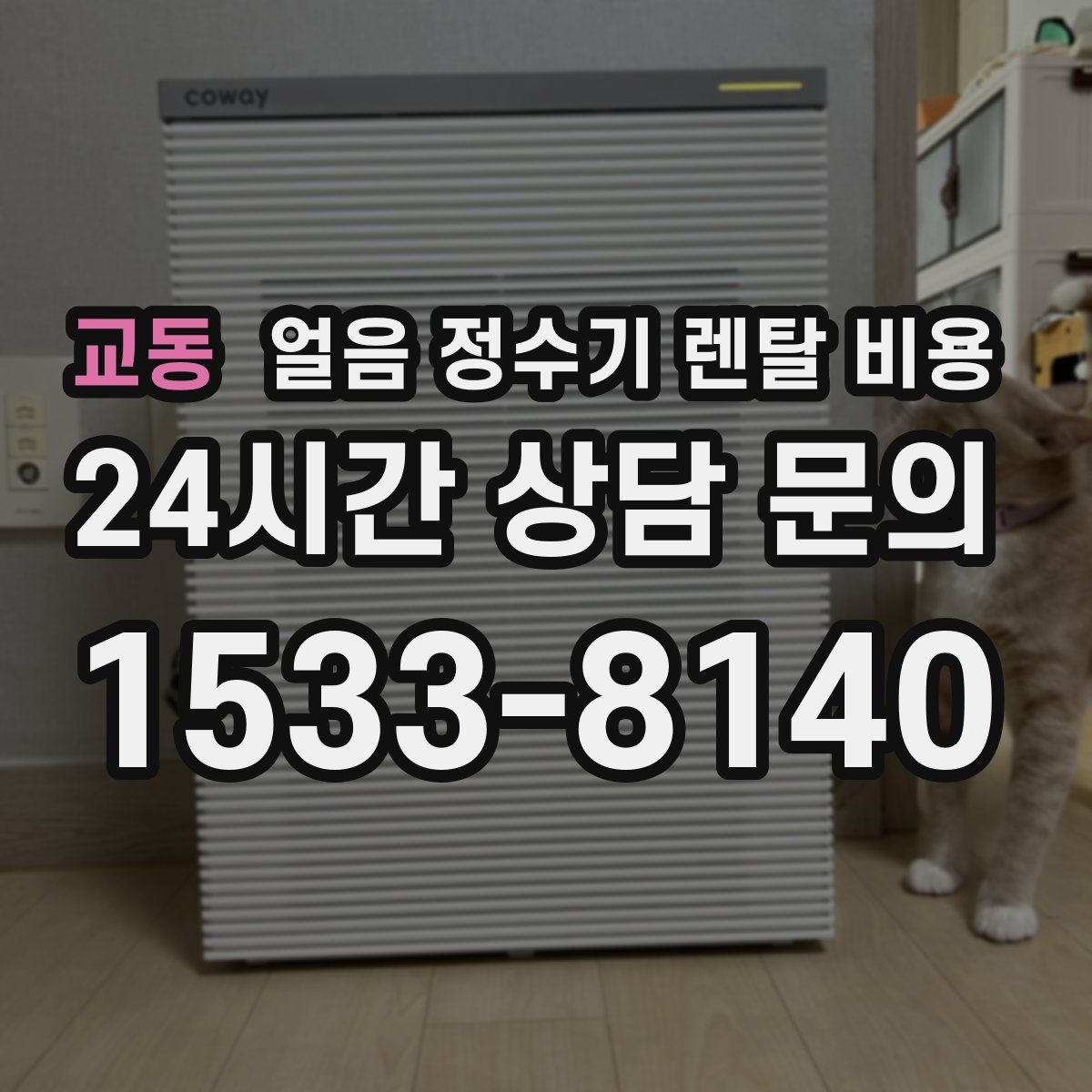 교동 얼음 정수기 렌탈 비용