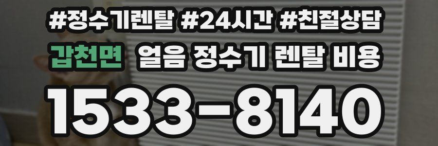 갑천면 얼음 정수기 렌탈 비용