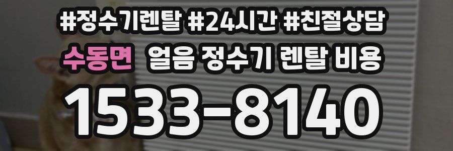 수동면 얼음 정수기 렌탈 비용