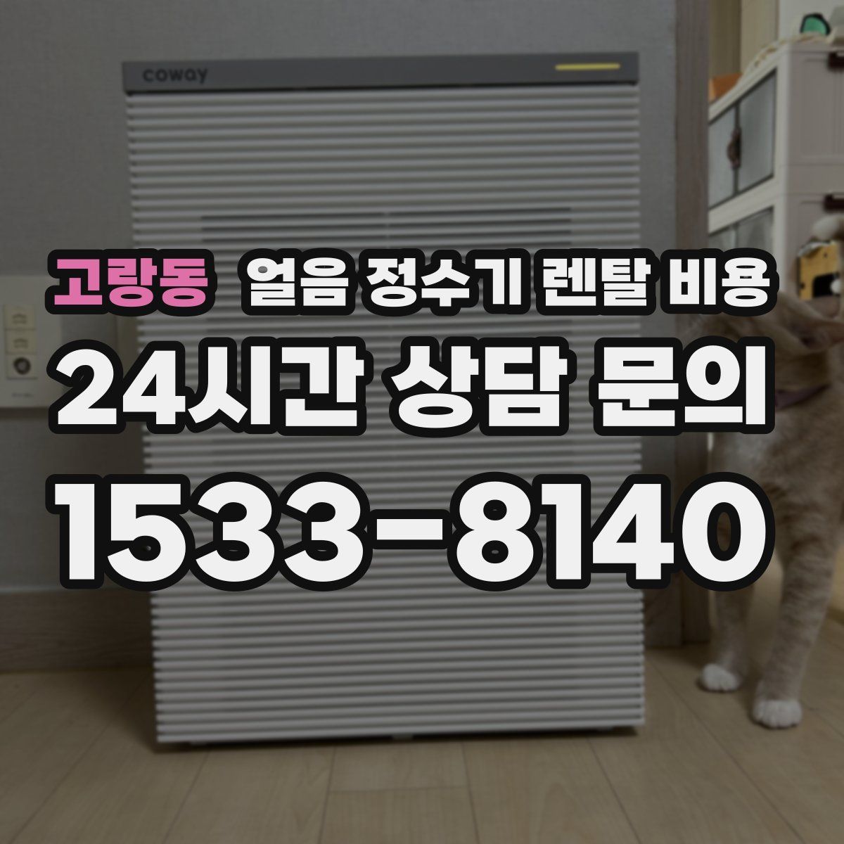 고랑동 얼음 정수기 렌탈 비용