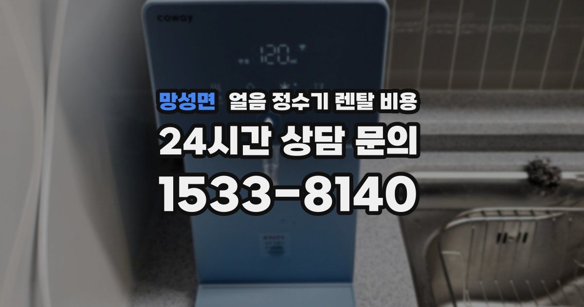 망성면 얼음 정수기 렌탈 비용