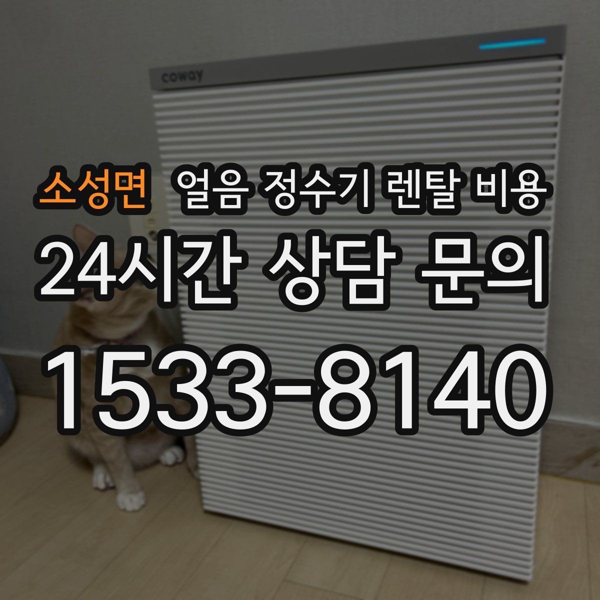 소성면 얼음 정수기 렌탈 비용 브랜드보다 중요한 선택 기준