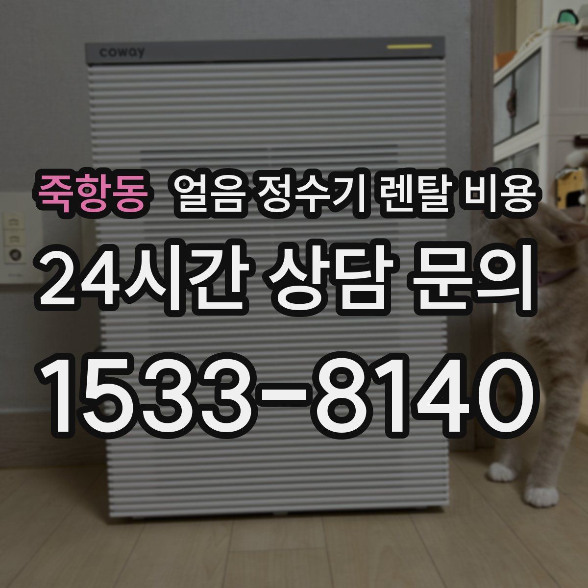 죽항동 얼음 정수기 렌탈 비용