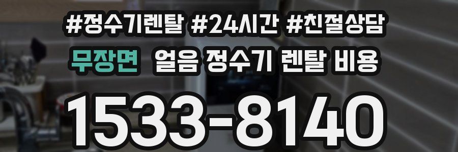 무장면 얼음 정수기 렌탈 비용