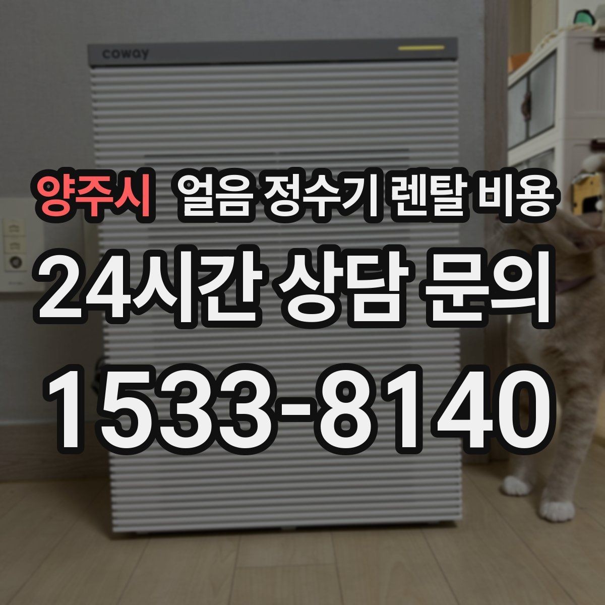 양주시 얼음 정수기 렌탈 비용 우리 집에 맞는 제품 찾는 방법