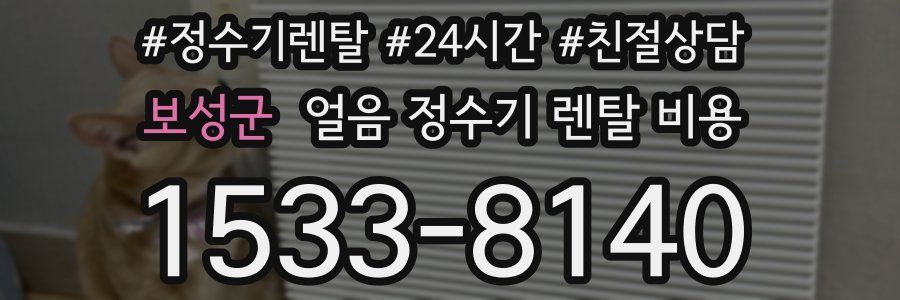 보성군 얼음 정수기 렌탈 비용