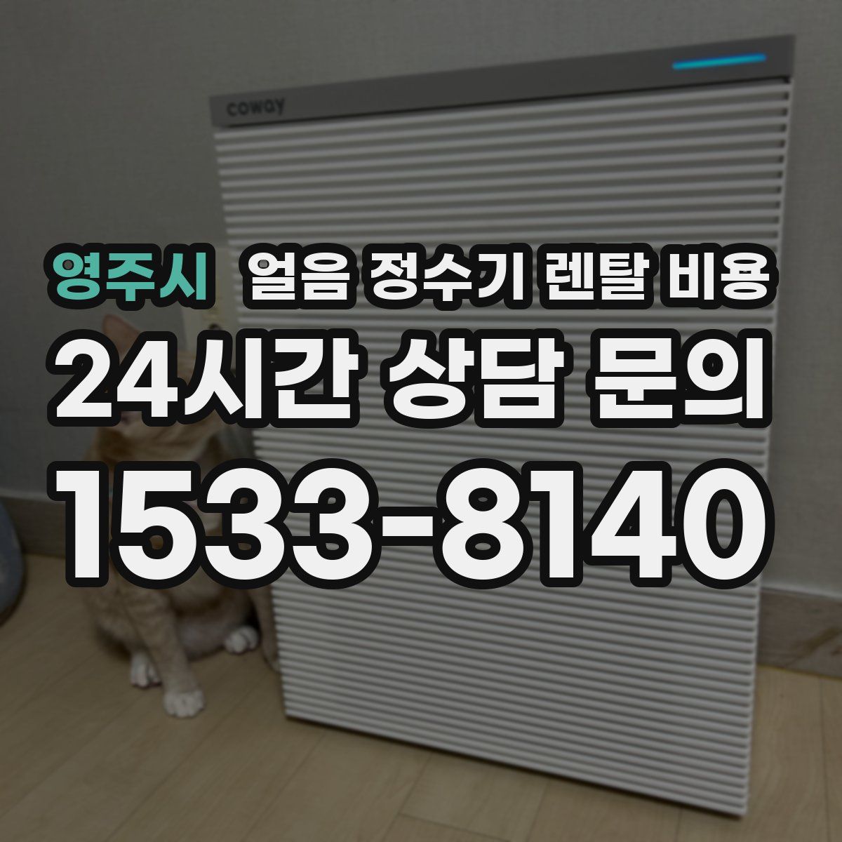 영주시 얼음 정수기 렌탈 비용