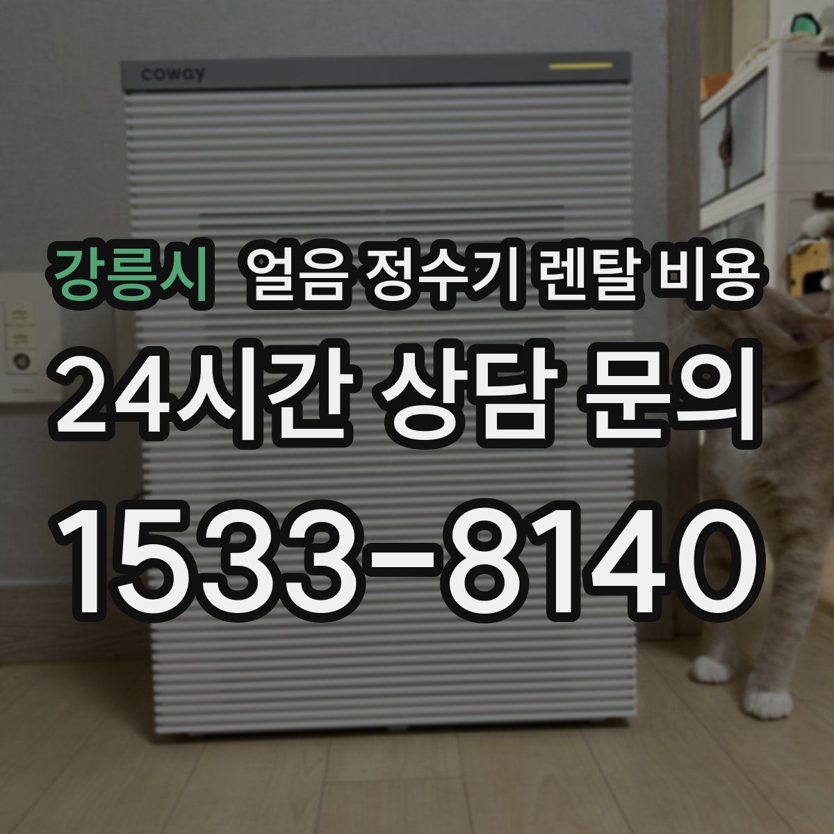 강릉시 얼음 정수기 렌탈 비용