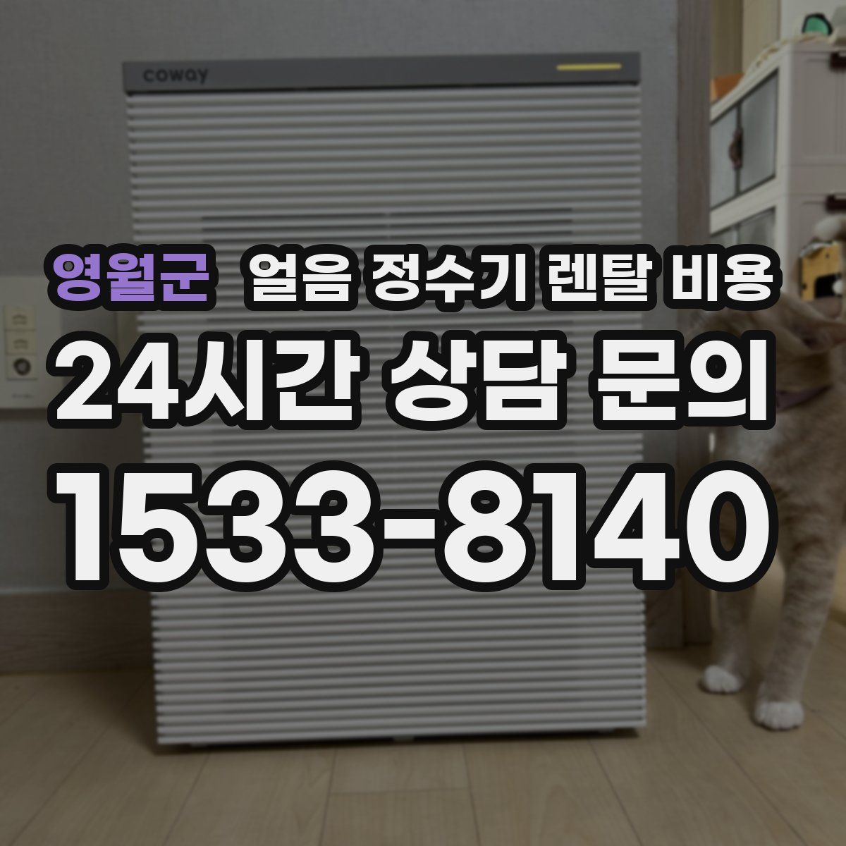 영월군 얼음 정수기 렌탈 비용