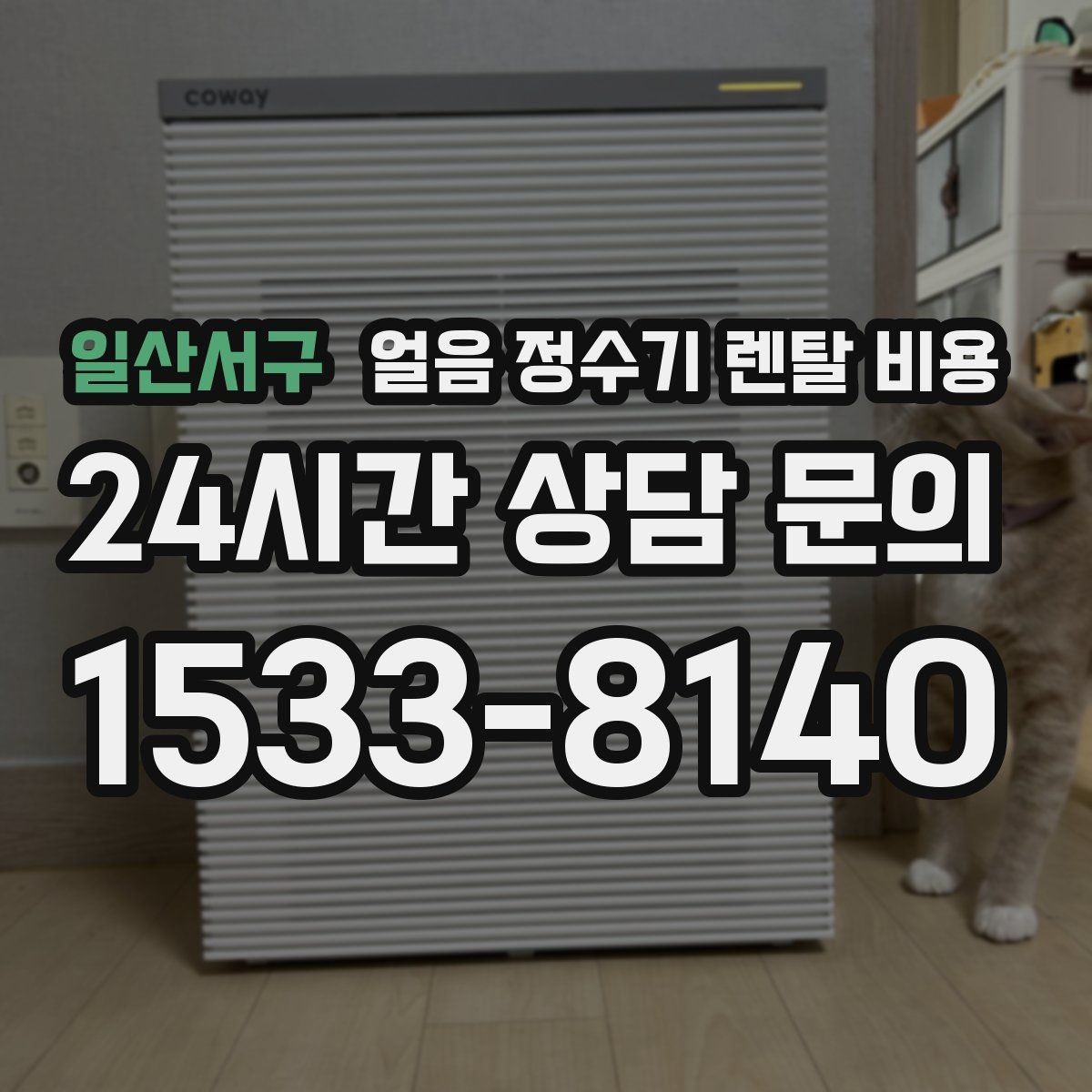 일산서구 얼음 정수기 렌탈 비용 실속형 제품 고르는 방법