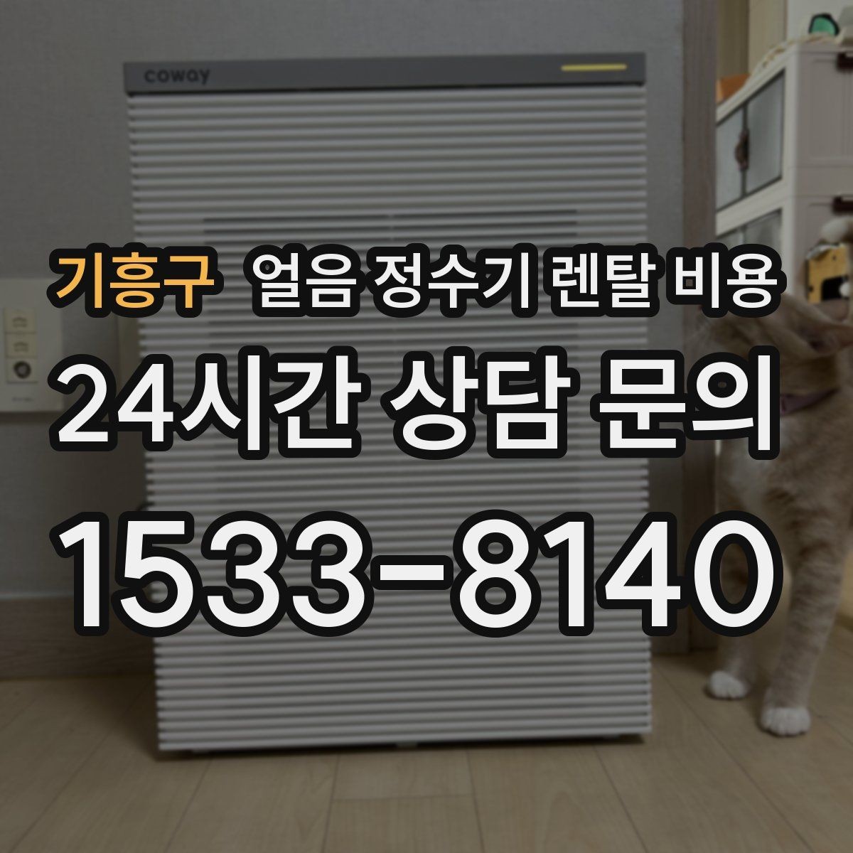 기흥구 얼음 정수기 렌탈 비용 얼음 저장 용량에 따른 차이