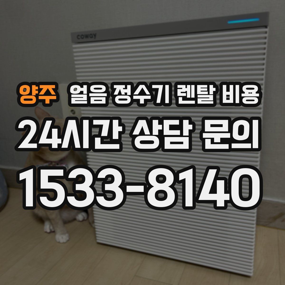 양주 얼음 정수기 렌탈 비용 내부 세척 기능을 확인해야 하는 이유