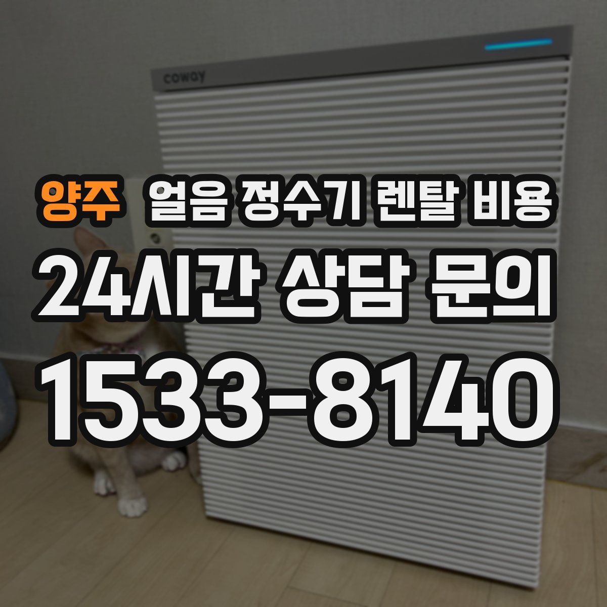 양주 얼음 정수기 렌탈 비용