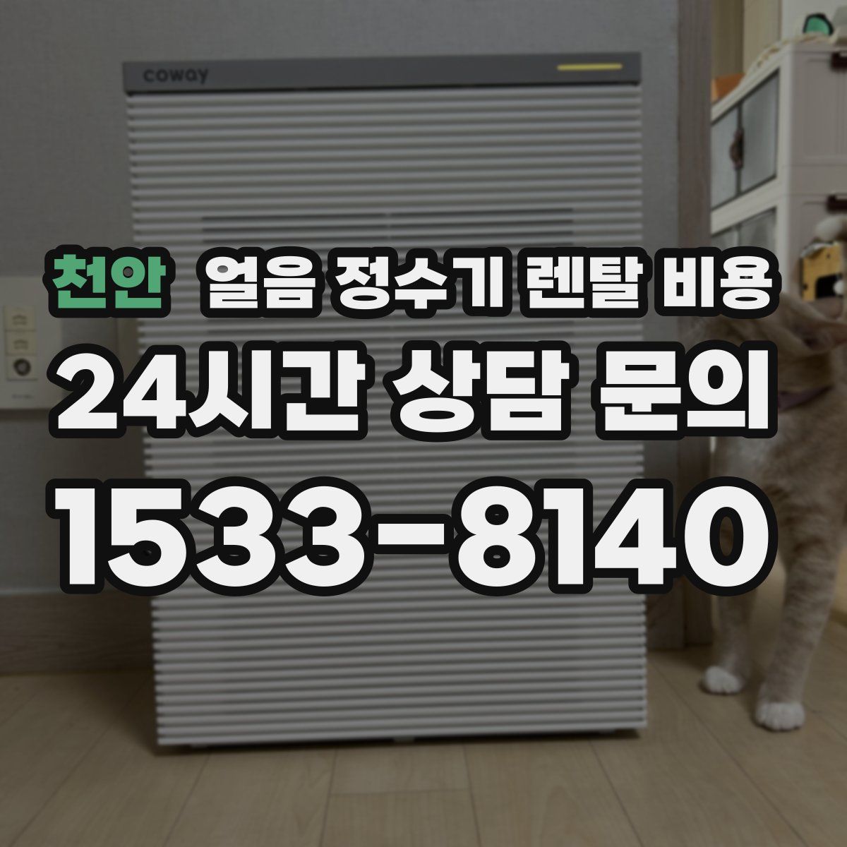 천안 얼음 정수기 렌탈 비용