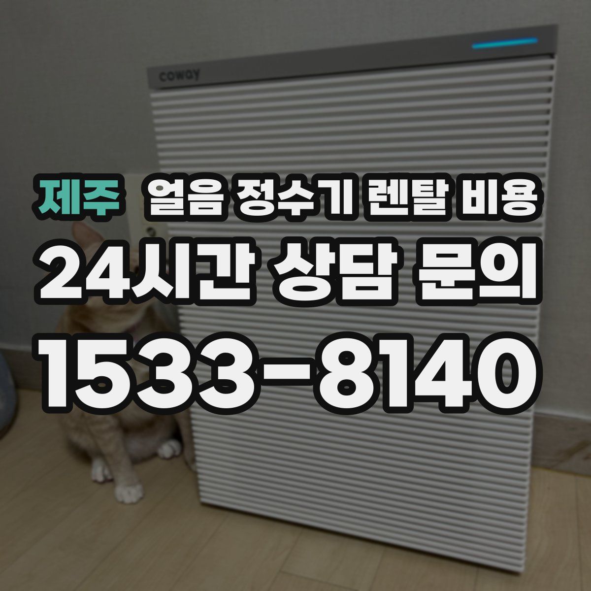 제주 얼음 정수기 렌탈 비용