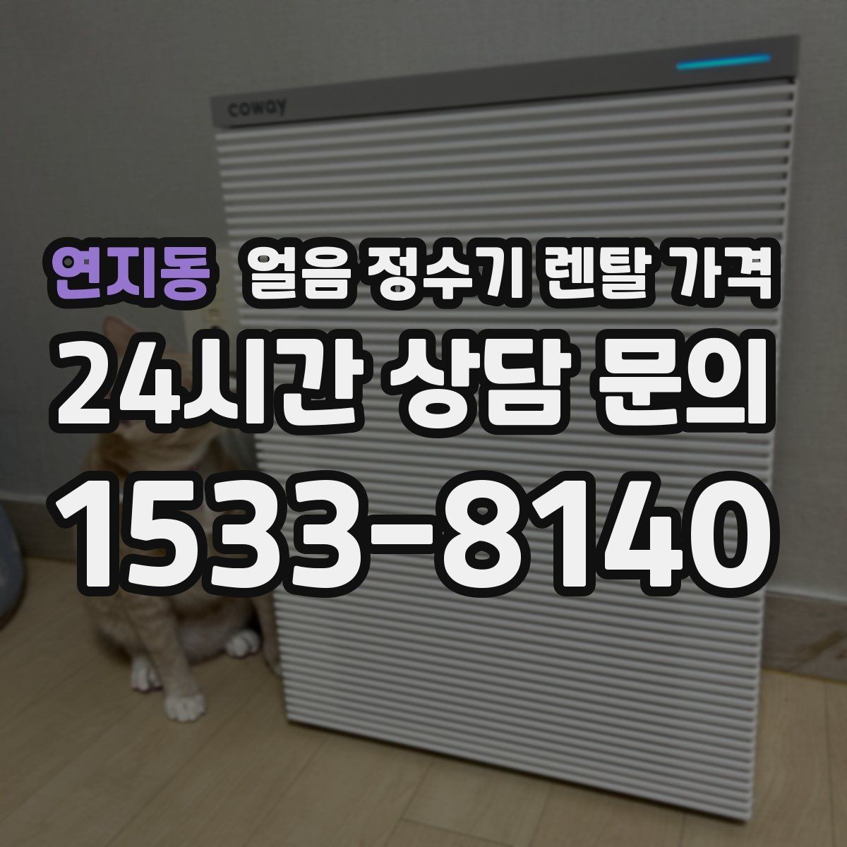 연지동 얼음 정수기 렌탈 가격 실제 사용자 경험 기준 정리