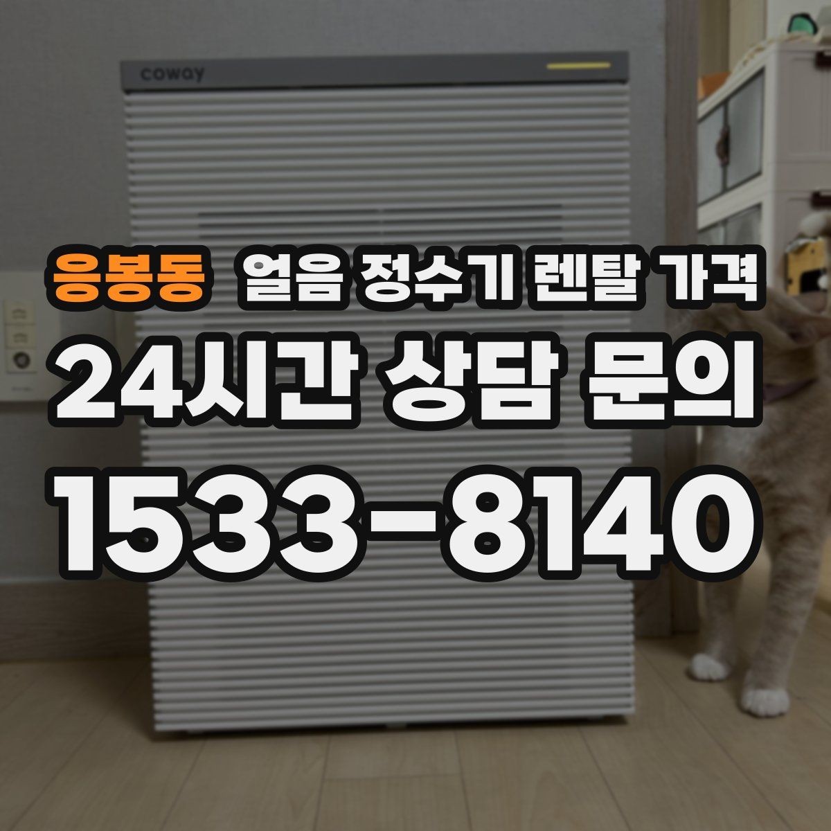 응봉동 얼음 정수기 렌탈 가격 가족 수에 따라 달라지는 기준