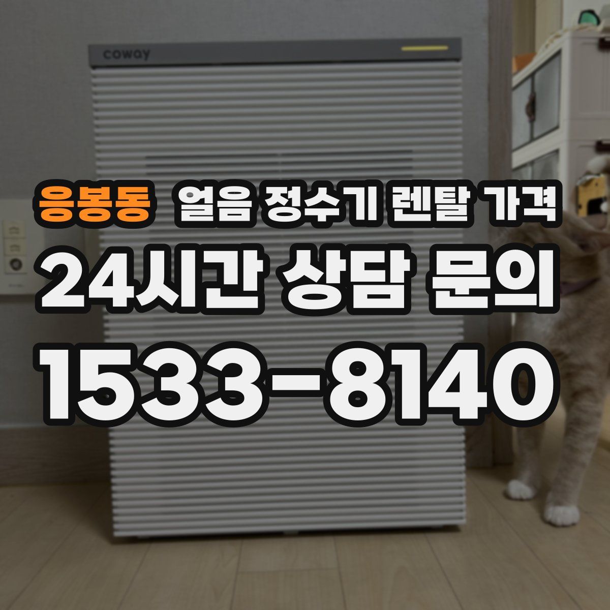 응봉동 얼음 정수기 렌탈 가격