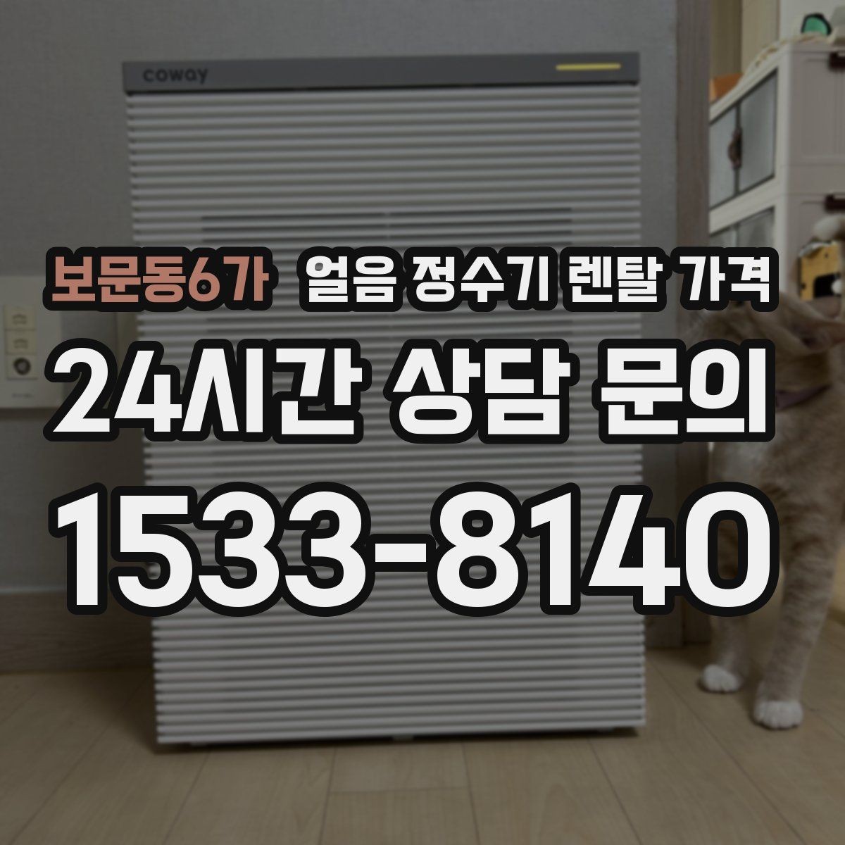 보문동6가 얼음 정수기 렌탈 가격 정수 전용 제품과 비교해보기