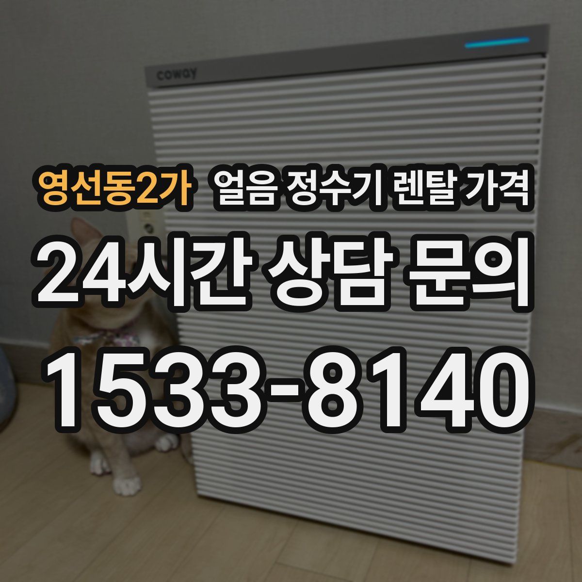 영선동2가 얼음 정수기 렌탈 가격