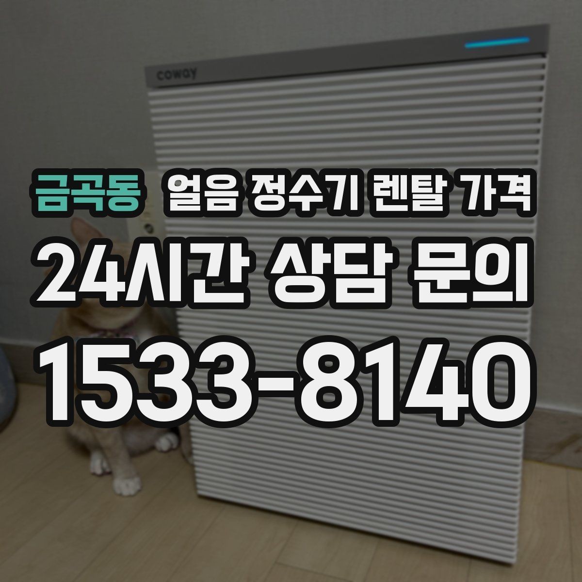 금곡동 얼음 정수기 렌탈 가격 코크 관리까지 따져야 하는 이유